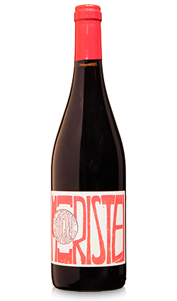 Bodega Pirineos Principio Moristel 2023 750ml