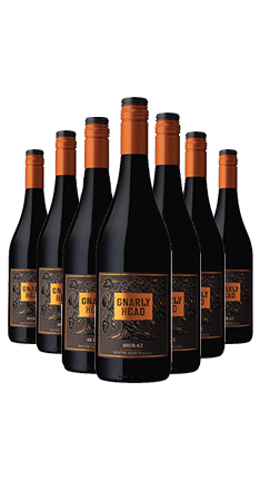 Gnarly Head Shiraz 12 PACK 2021 750ml
