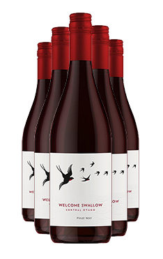 Welcome Swallow Pinot Noir SIX PACK 2023