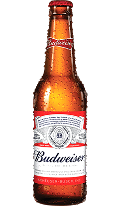 Budweiser 330ml Bottle