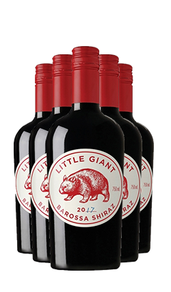 Little Giant Shiraz SIX PACK 2022 750ml