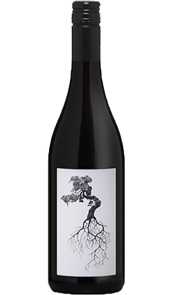 Pakiaka Syrah 2022 750ml