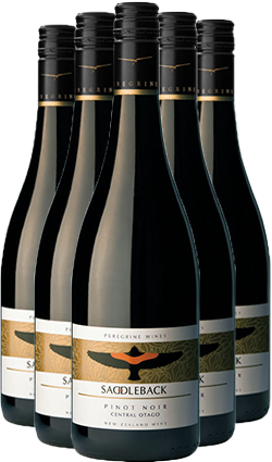 Saddleback by Peregrine Pinot Noir 2022 SIX PACK