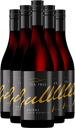 Tea Tree Gully Shiraz 12 PACK 2023 750ml