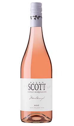 Allan Scott Marlborough Rose 2025