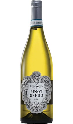 Antica Vigna Pinot Grigio DOC 750ml