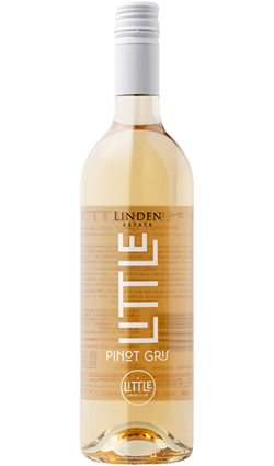 Linden LITTLE Pinot Gris 2024