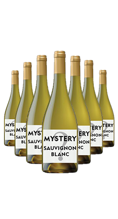 Mystery Marlborough Sauvignon Blanc 2025 CASE (retails for over $150)