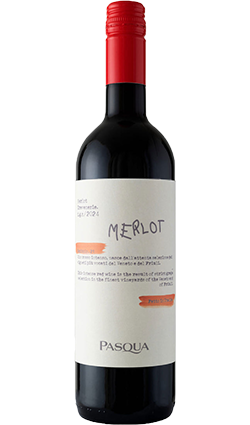 Pasqua Merlot Trevenezie IGT 750ml 2023