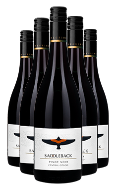 Saddleback by Peregrine Pinot Noir 2022 SIX PACK