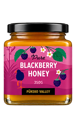 Pure Blackberry Honey 350g