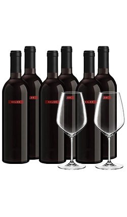Saldo Zinfandel 2023 750ml SIX PACK + Spiegelau Hi-Lite Glass Pack