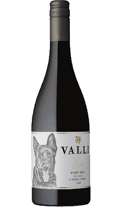 Valli Levi Pinot Noir 2022