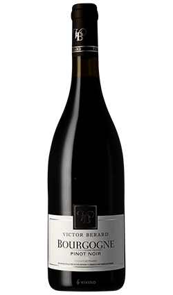 Victor Berard Bourgogne Pinot Noir 2020 750ml