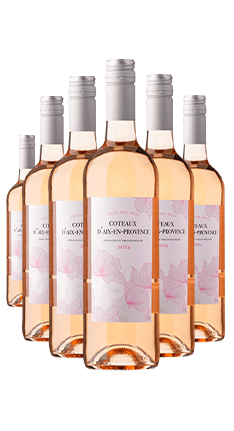 Villa Del Rose Coteaux Aix en Provence Rose SIX PACK 2025 750ml