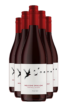 Welcome Swallow Pinot Noir SIX PACK 2022