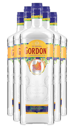 Gordons Gin 1000ml SIX PACK