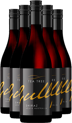 Tea Tree Gully Shiraz 12 PACK 2021 750ml